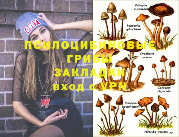 гашик Елабуга