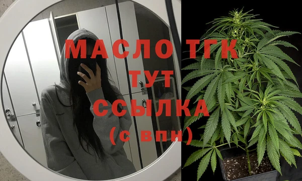 гашик Елабуга
