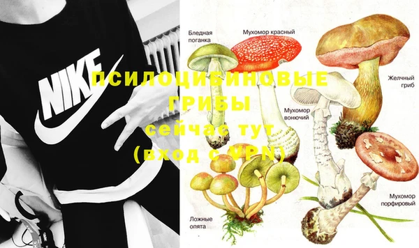 синтетический гашиш Елизово