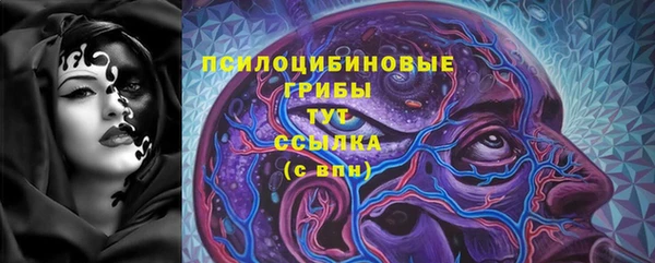 гашик Елабуга