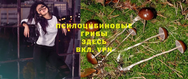 амфетамин Гусь-Хрустальный