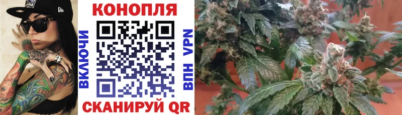 что такое   Ангарск  Конопля гибрид 